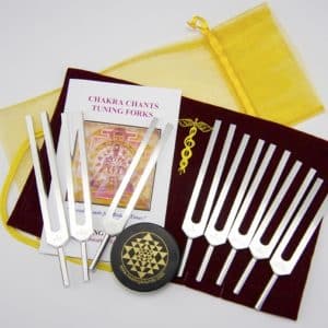 Goldman Chakra Tuning Forks Kit at CoolestTechEver.com