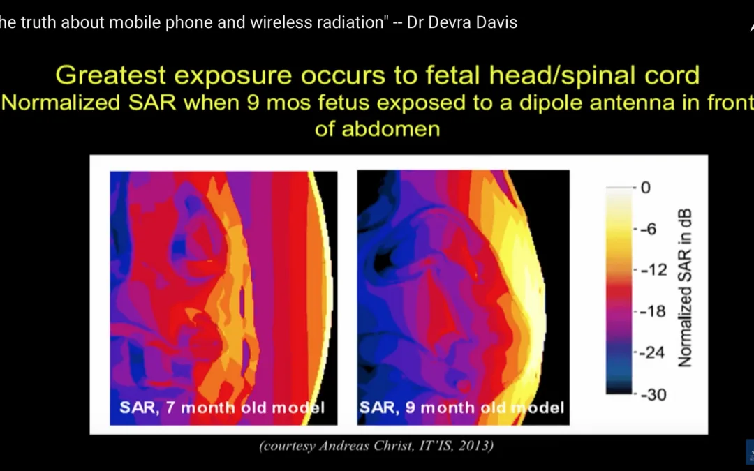 EMF Protection Technologies Explained
