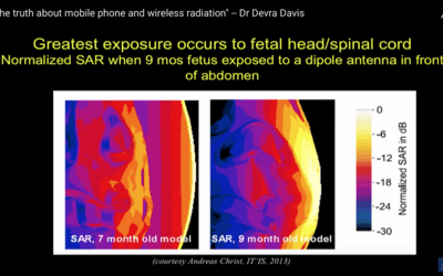 EMF Protection Technologies Explained