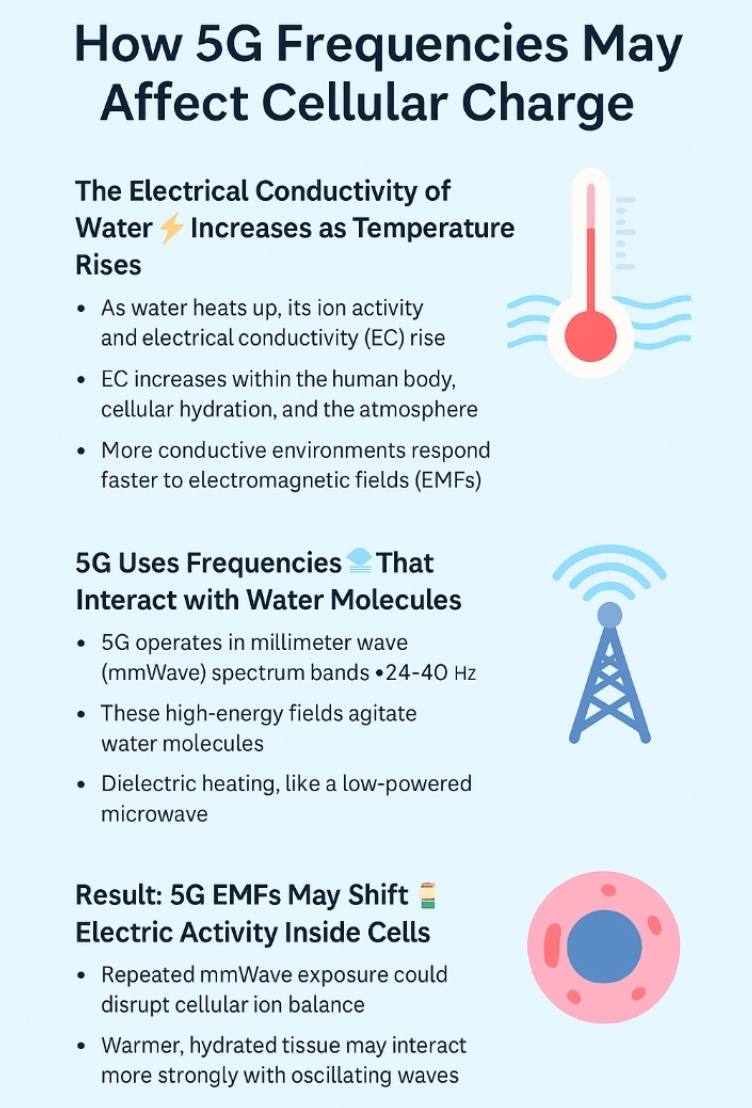 is-5g-a-threat-to-your-immune-system