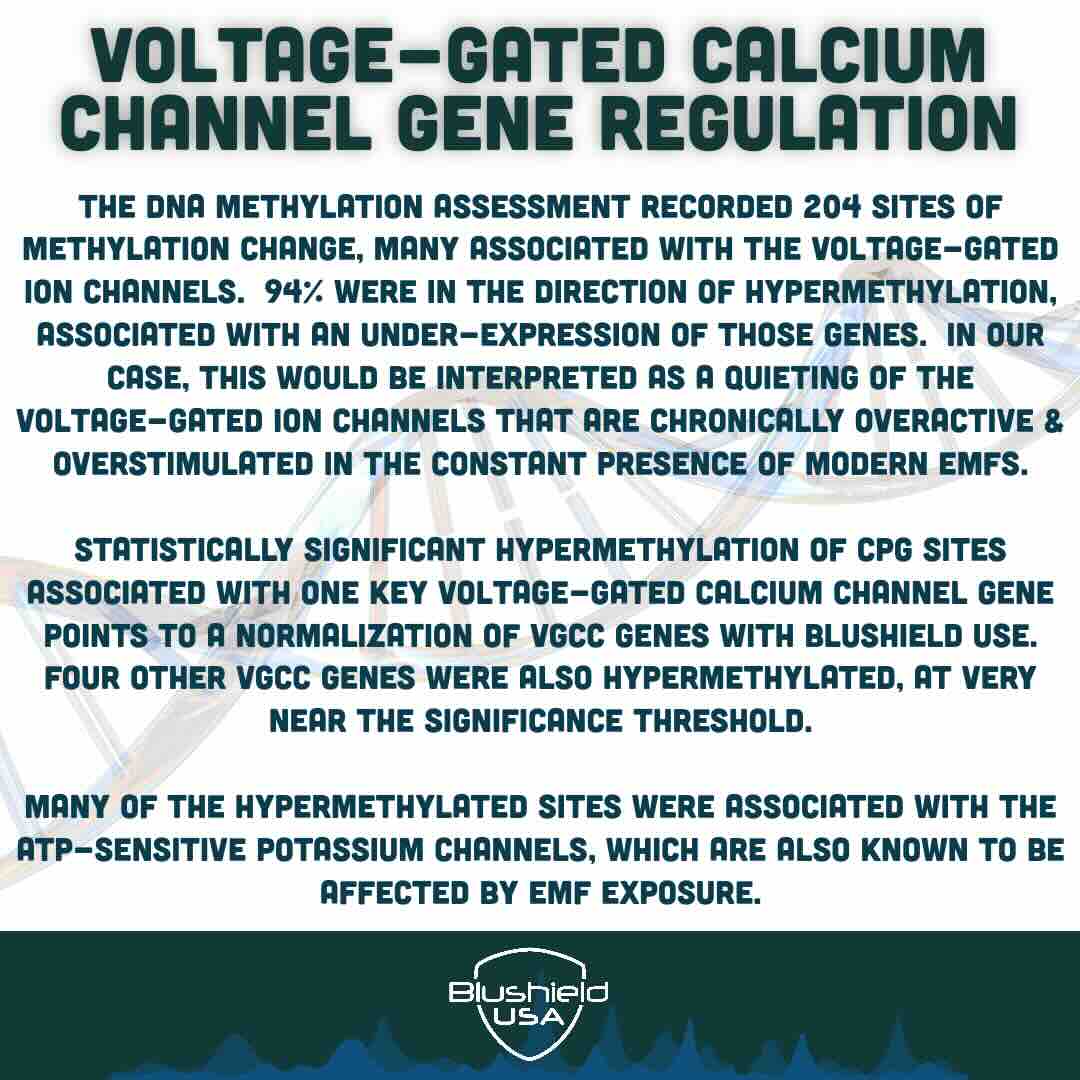 Blushield Calcium Channel Study Instagram
