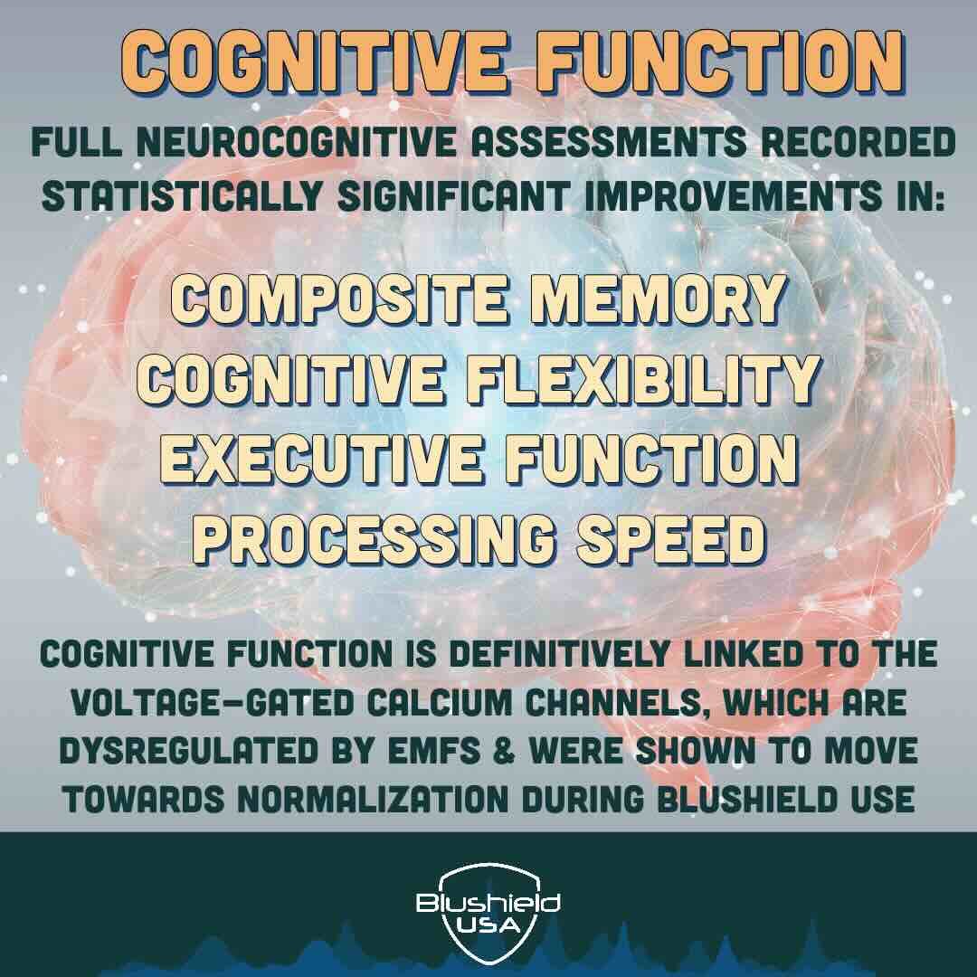 Blushield Cognitive Function Infographic