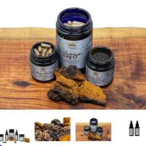 CHAGA Superfood at Coolest Tech Ever dot com