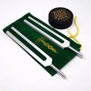 Gaia Frequency Brain Tuner