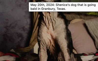 Nightmare Symptoms for Granbury, Texas Residents